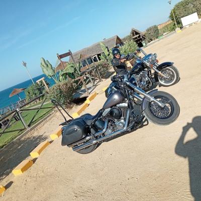 Whatsapp Image 2026 04 08 At 21.04.41