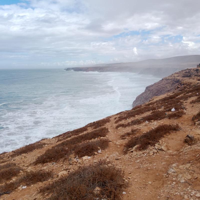 Whatsapp Image 2026 04 08 At 22.03.02