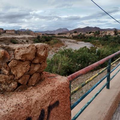 Whatsapp Image 2026 04 08 At 22.03.10